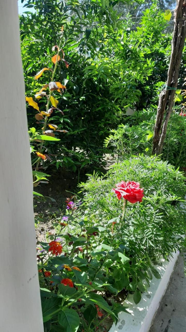 Guest House Emi 培拉特 外观 照片