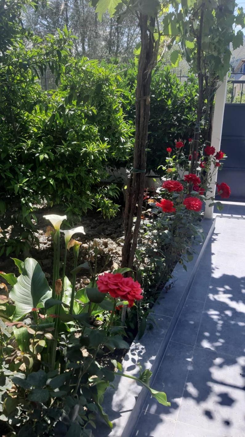Guest House Emi 培拉特 外观 照片