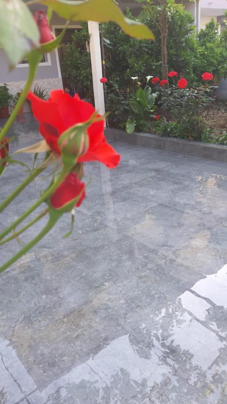 Guest House Emi 培拉特 外观 照片